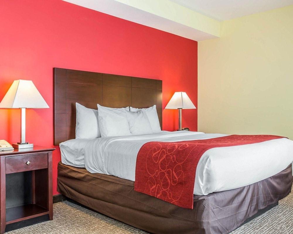 Comfort Suites Rock Hill Manchester Meadows Area photo 7