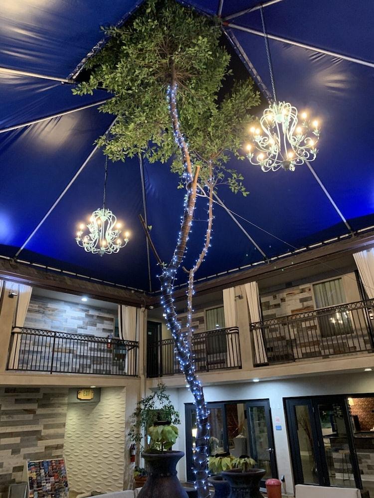 L.A. Sky Boutique Hotel photo 63