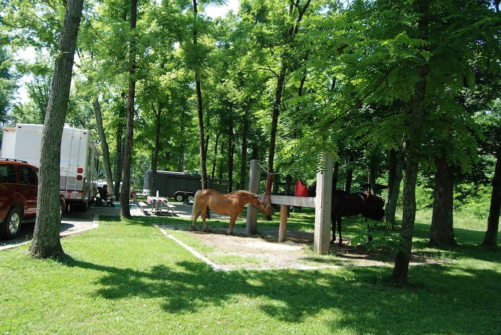 Pennyrile Forest State Resort Park photo 28