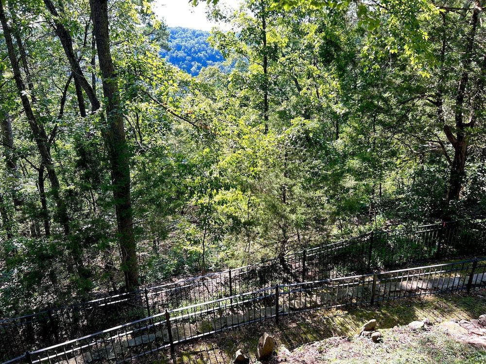 Eureka Zen Cottages photo 13