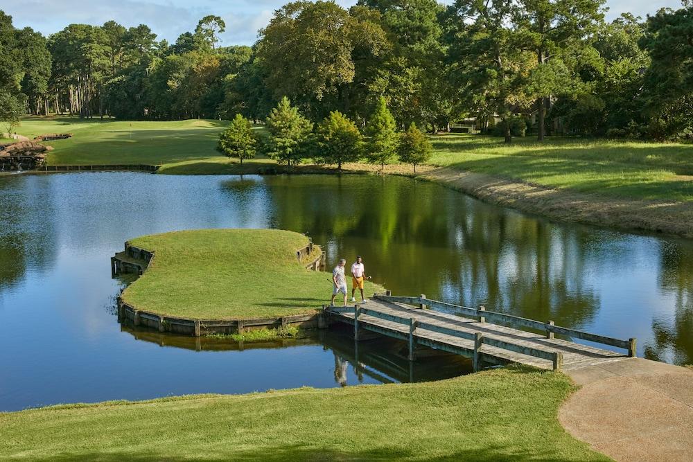 Margaritaville Lake Resort, Lake Conroe/Houston photo 67