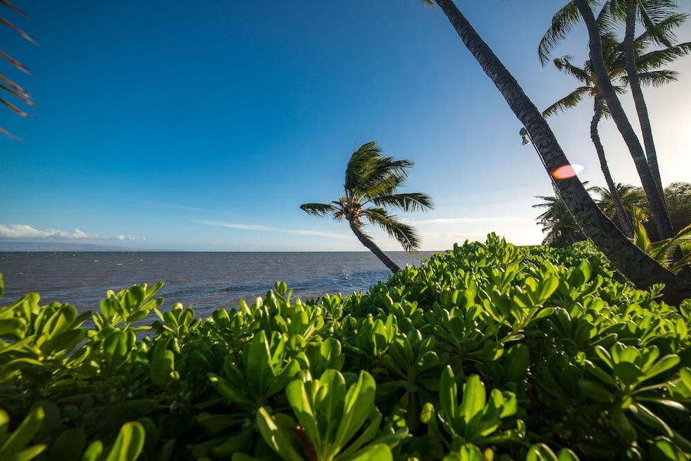 Hotel Moloka'i photo 88