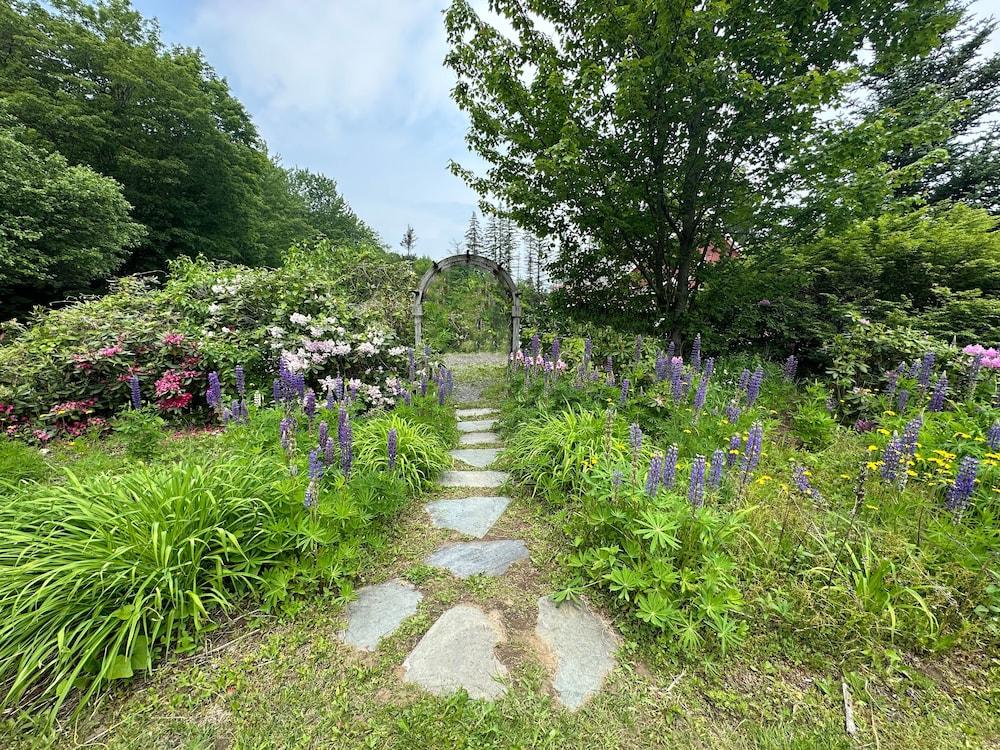 Sugar Maple Inn photo 33