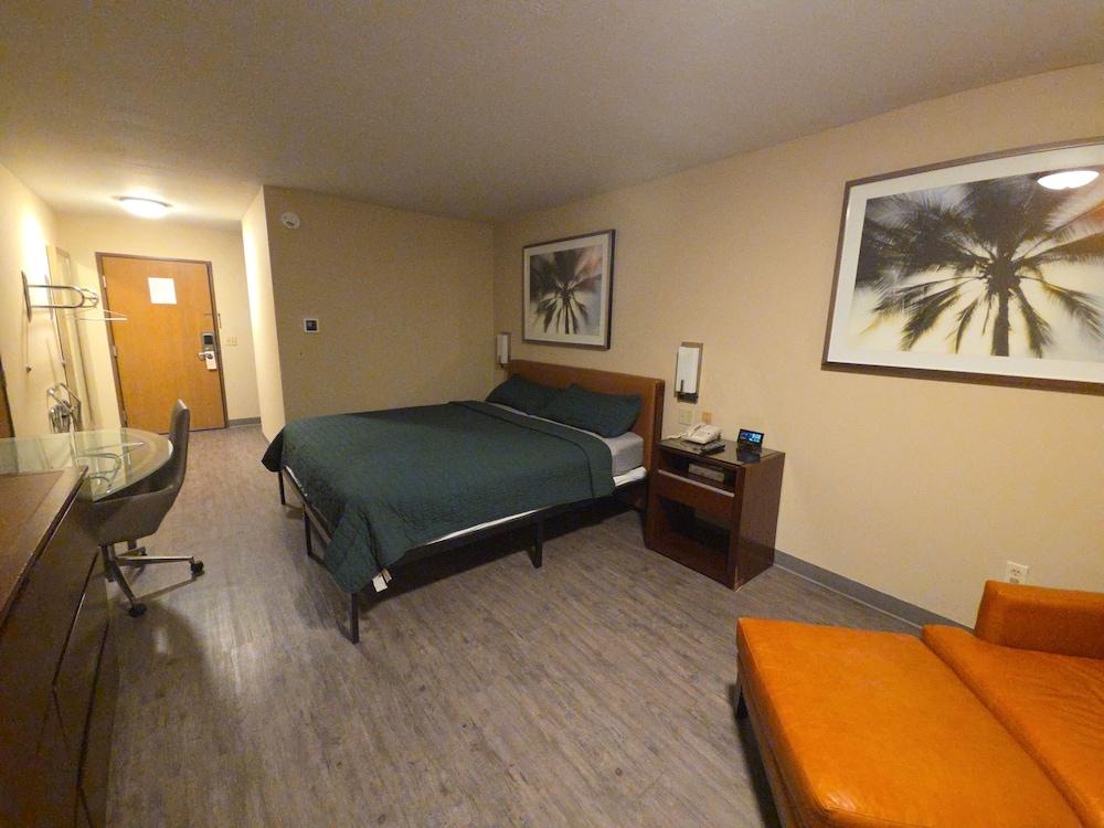 Chesaning Inn & Suites photo 10