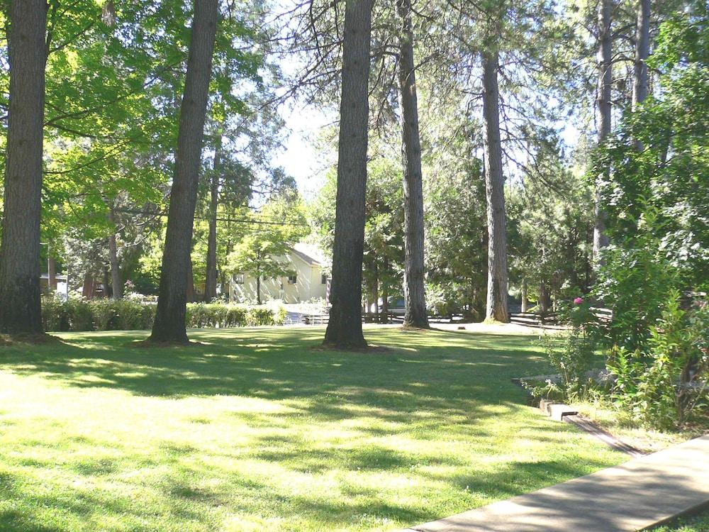 Nevada City Inn photo 13