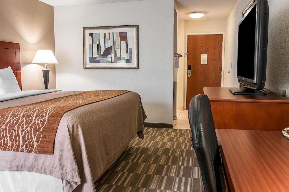 Spark by Hilton Ann Arbor South photo 6