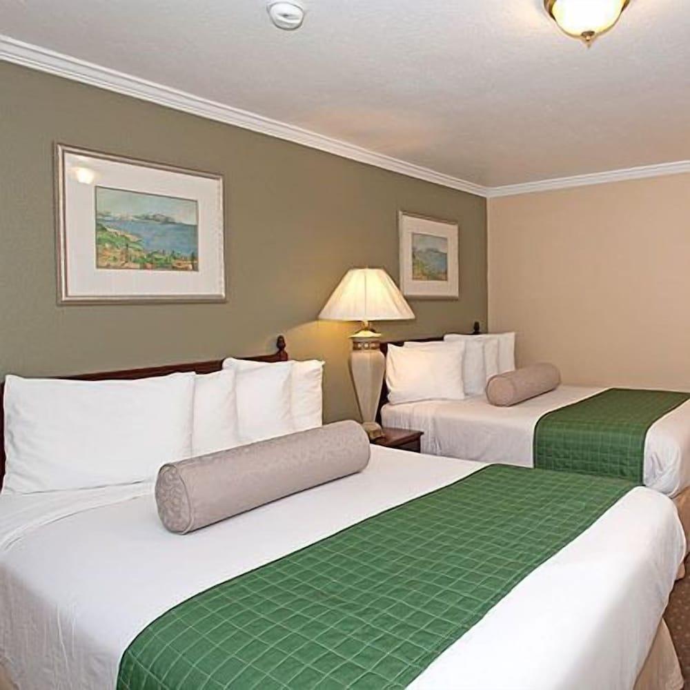 Traveler's Inn photo 20
