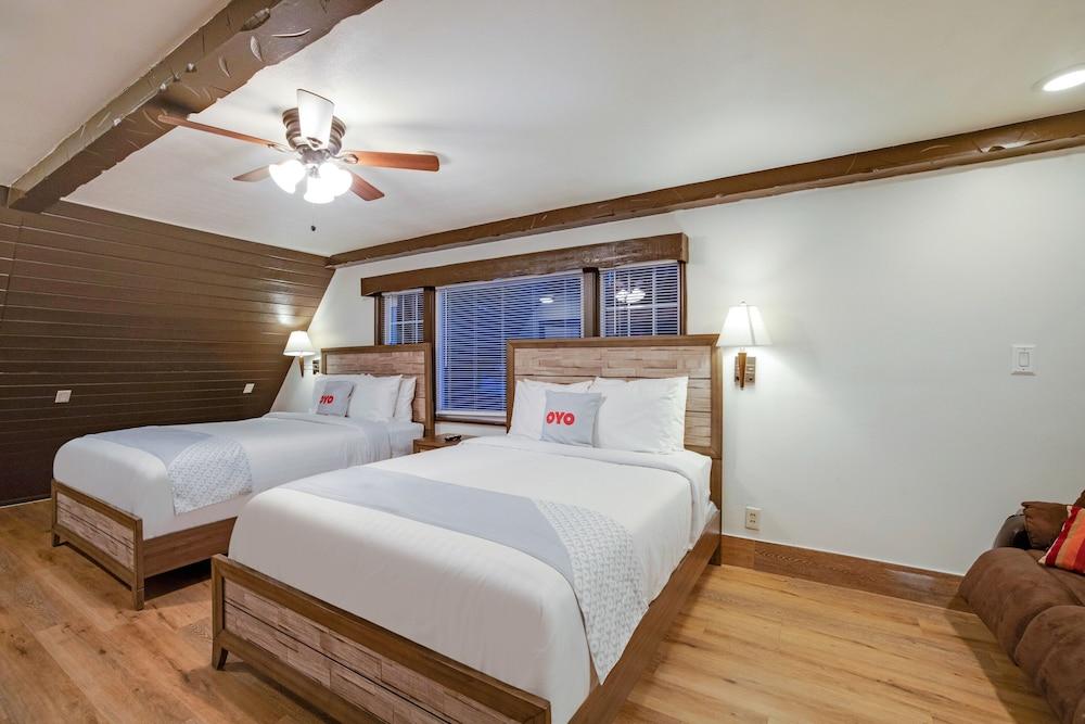 Arrowhead Tree Top Lodge photo 6
