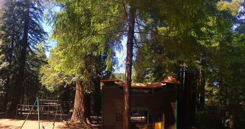Redwoods River Resort photo 52