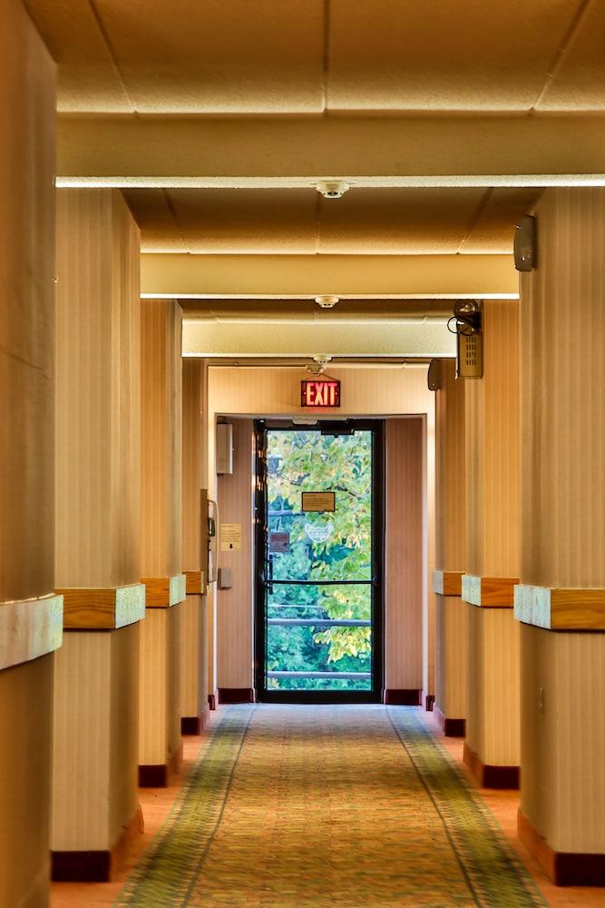 The View Inn & Suites photo 8