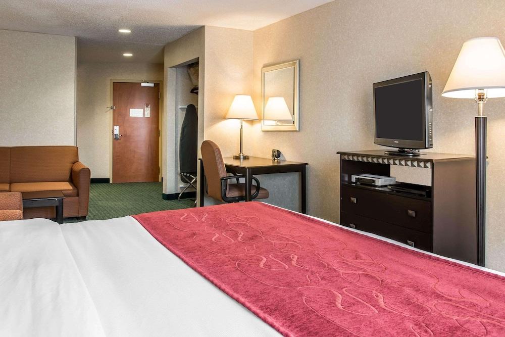 Comfort Suites Canton - Detroit photo 8