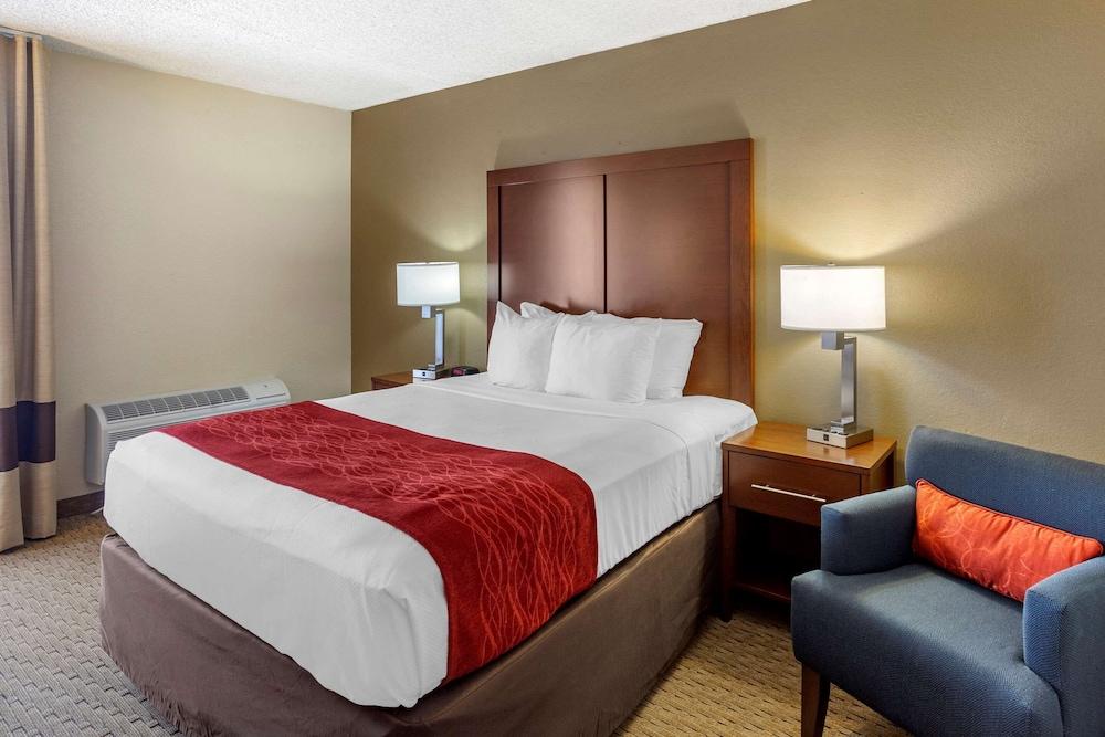 Comfort Inn & Suites Rochelle - DeKalb photo 48