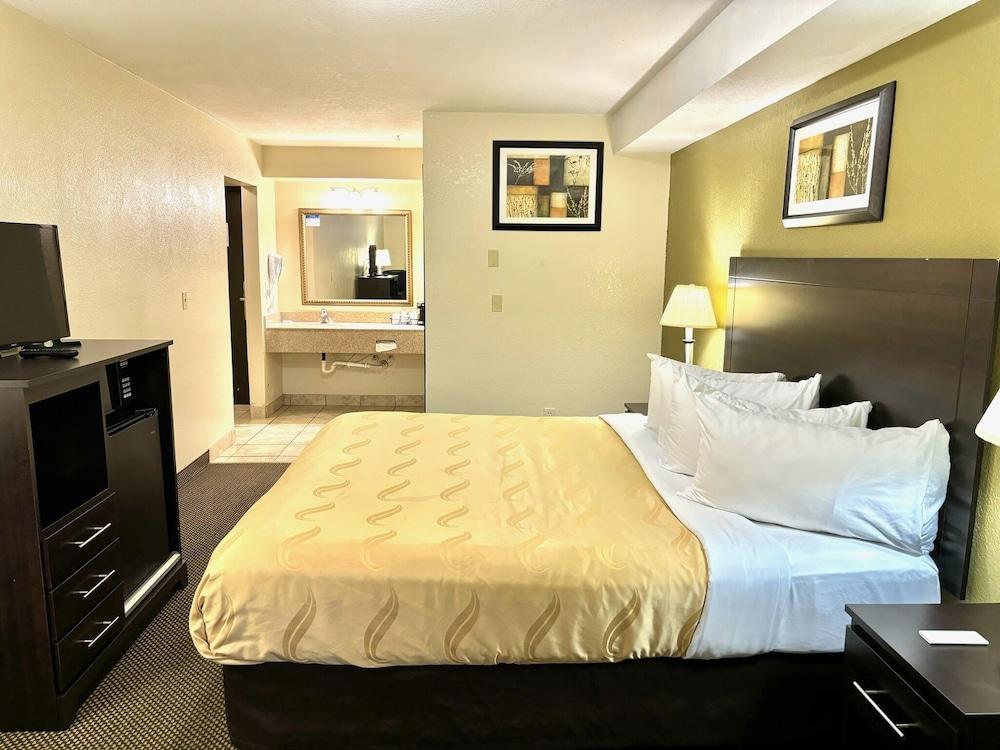 Cozy Inn photo 11