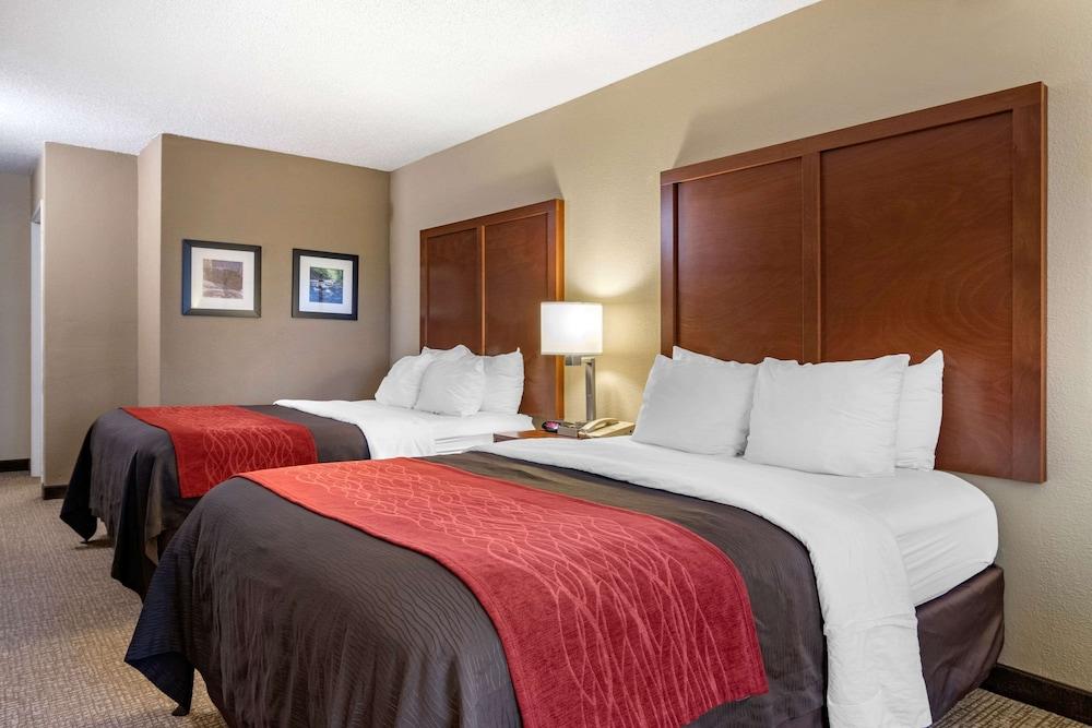 Comfort Inn & Suites Suwanee - Sugarloaf photo 8