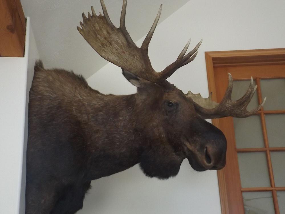 Clark Fork Lodge photo 26
