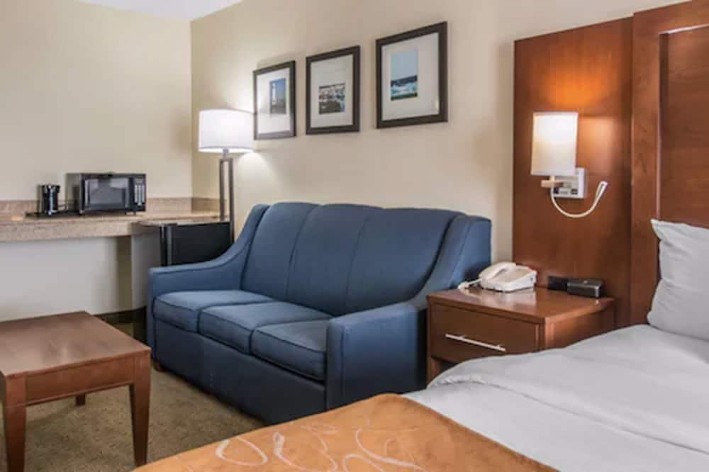 Comfort Suites Wixom - Novi photo 27