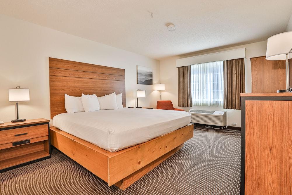 Best Western Mountain View Inn photo 4
