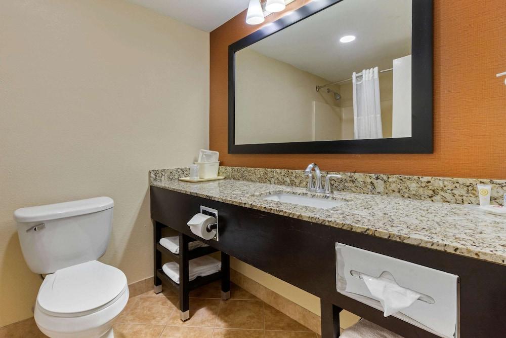 Comfort Inn North of Asheville photo 56