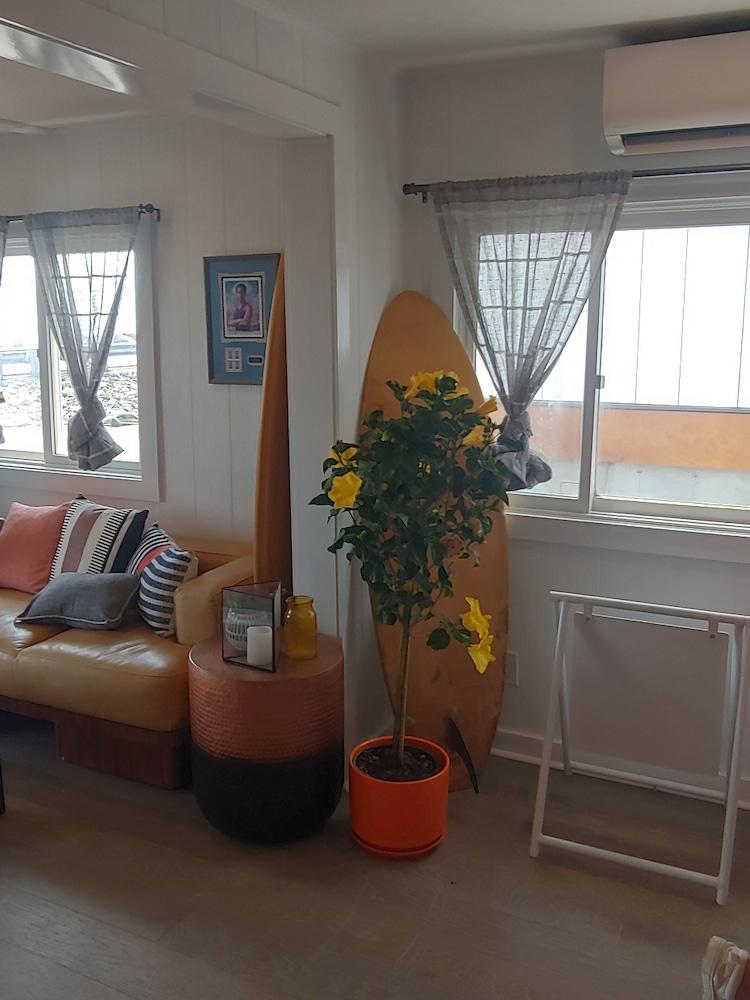 York Beach Surf Club photo 38