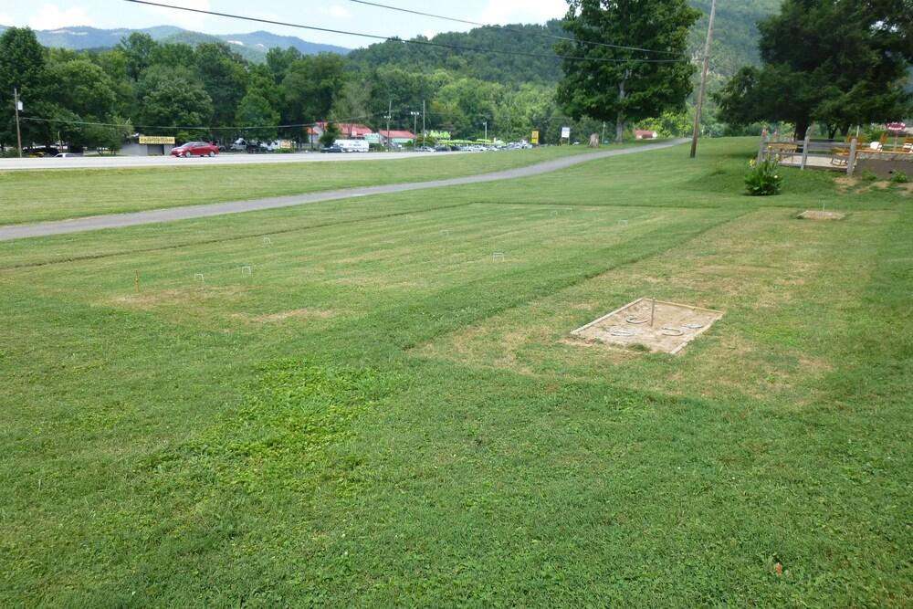 Townsend Gateway Inn photo 26