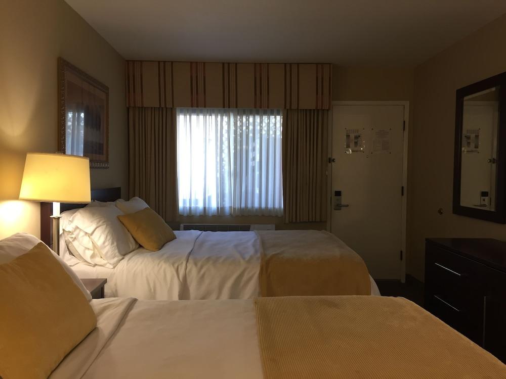Travelodge by Wyndham Presidio San Francisco photo 31