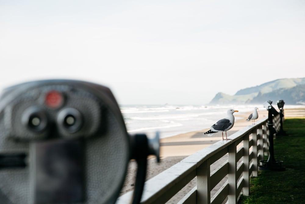 Surftides Lincoln City photo 18