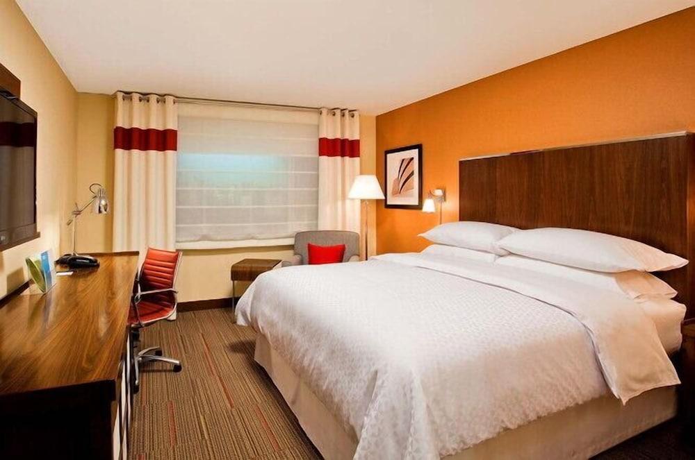 Four Points by Sheraton Mt Prospect O'Hare photo 10
