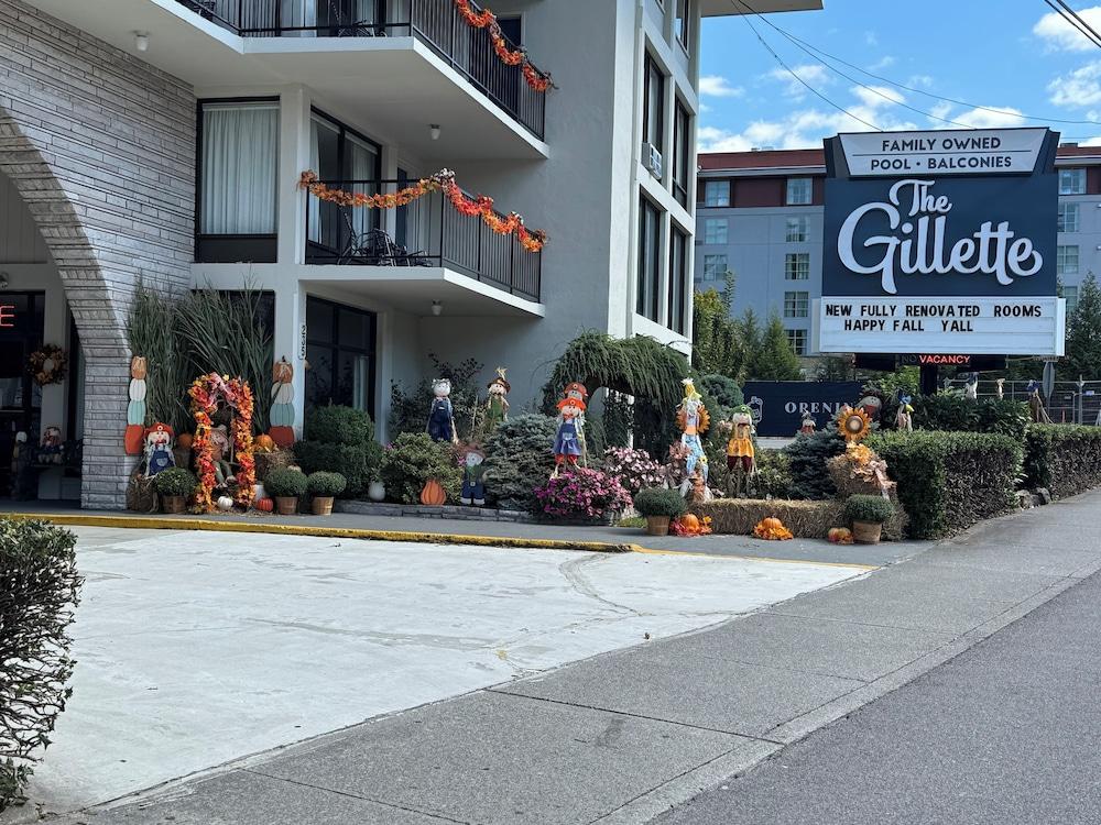 The Gillette photo 86