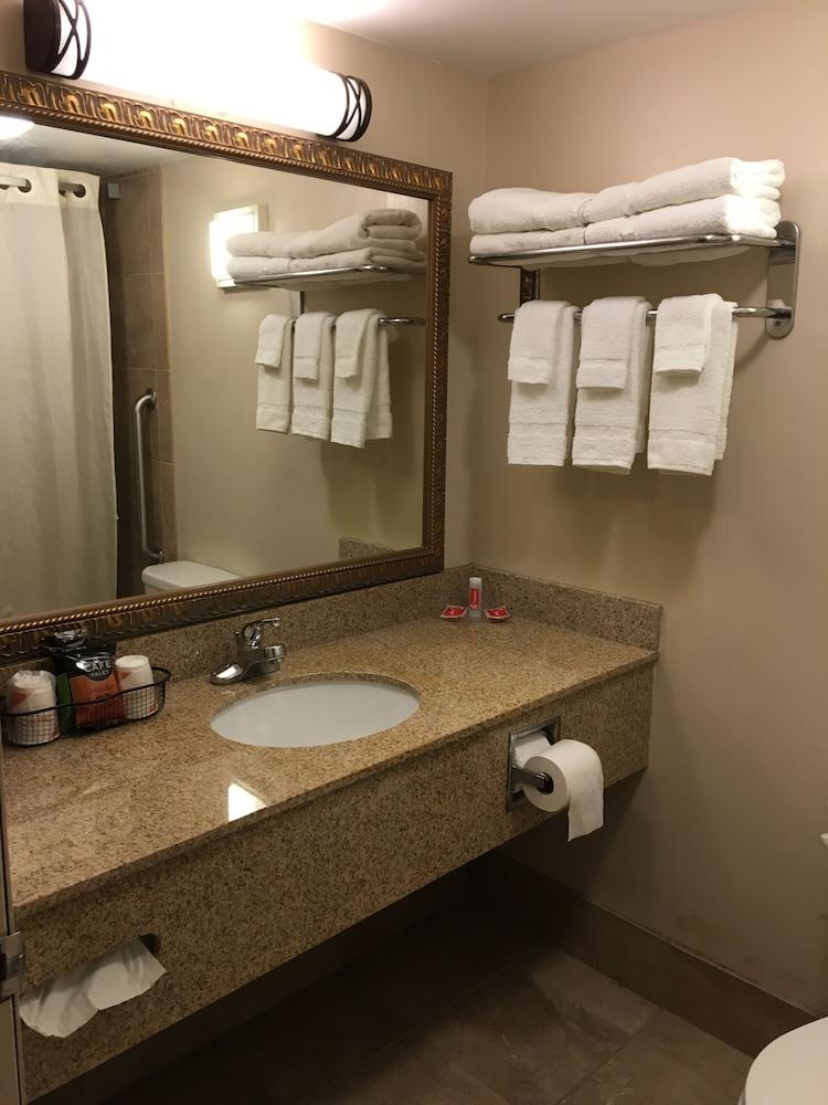 Econo Lodge Darien Lakes photo 33