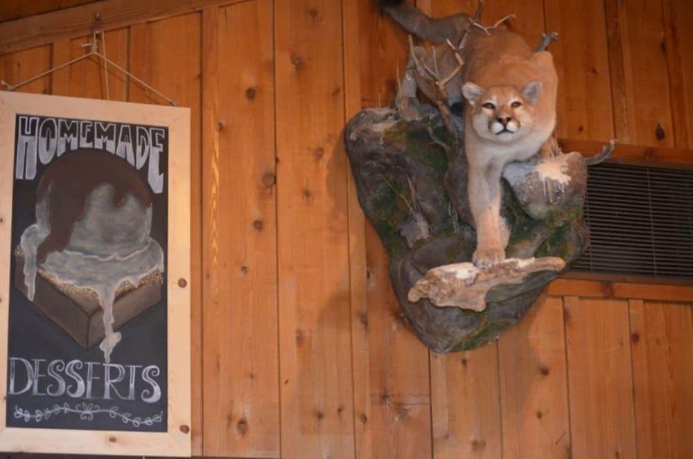 Mountain Village Lodge photo 19