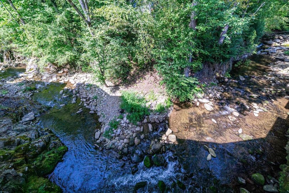 Bear Creek Inn photo 18