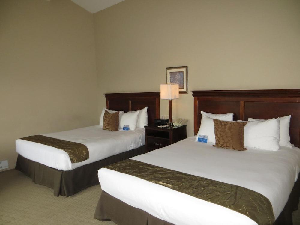 Adobe Inn photo 54