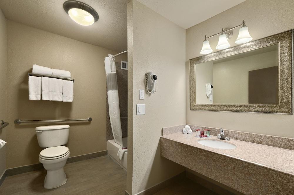 Ramada by Wyndham Houston Intercontinental Airport South photo 8