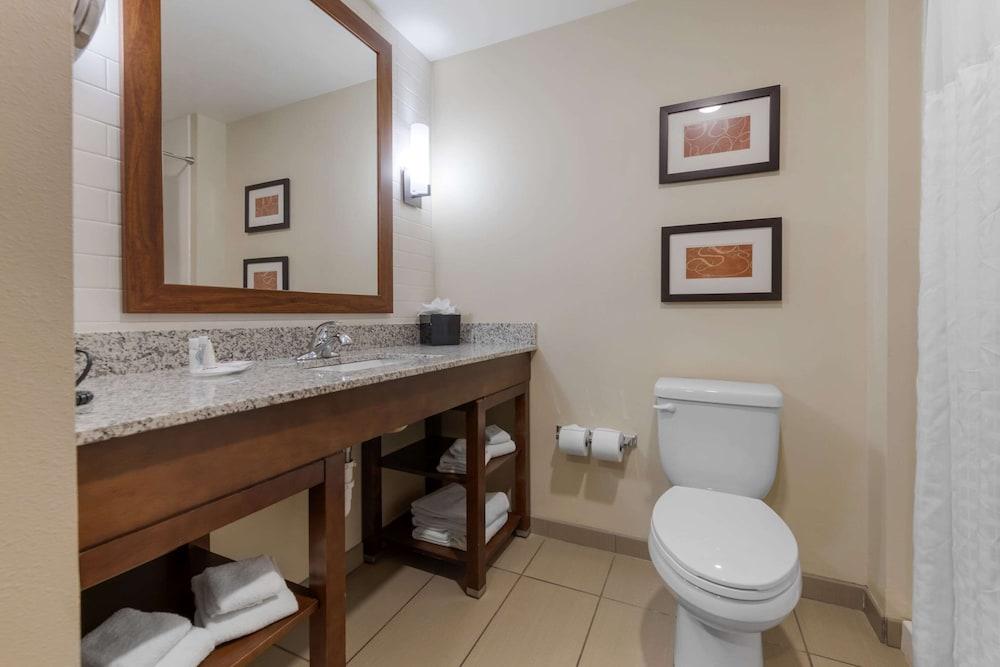 Comfort Suites and Conference Center photo 11