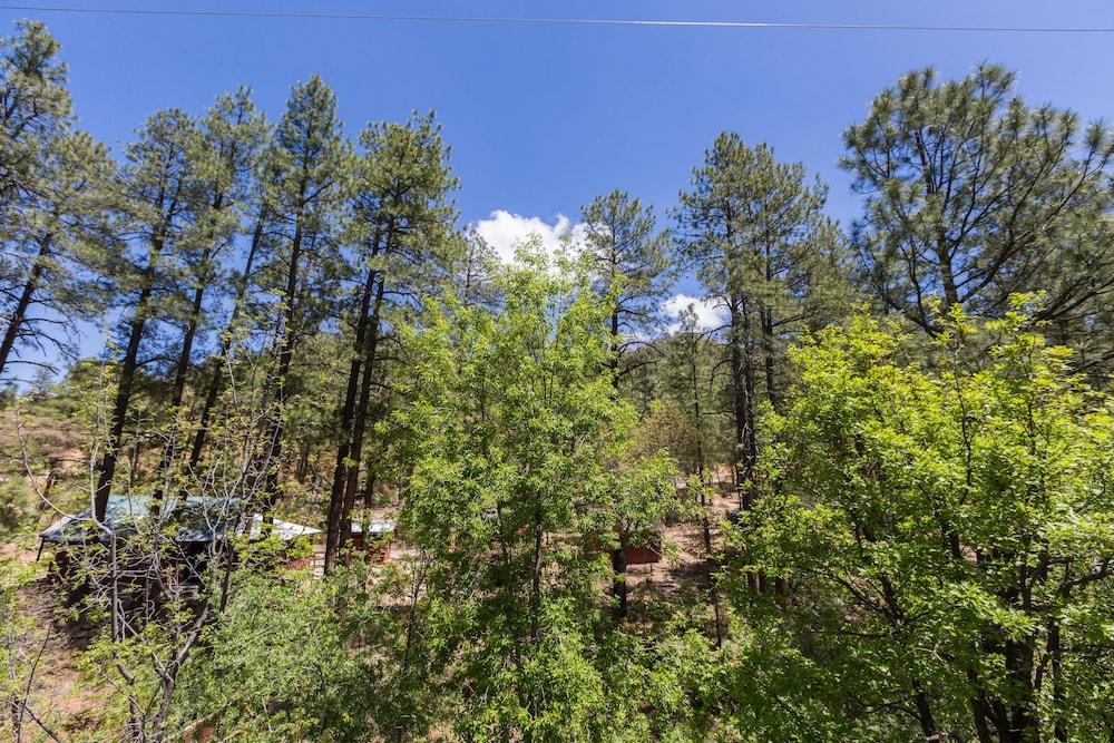 Crown King Cabins Suites and Bunkhouse photo 32