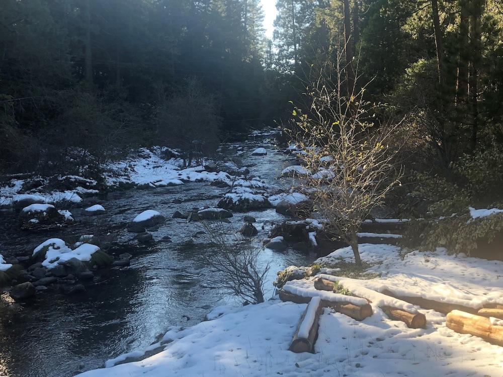 Sierra Inn on the River photo 15