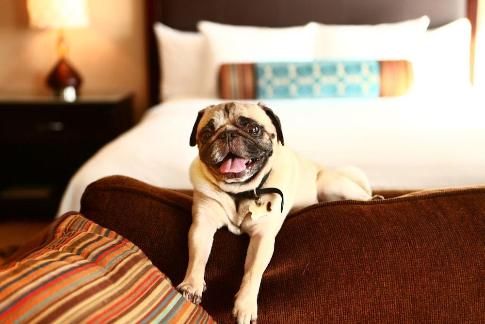 Staybridge Suites Chicago - Glenview by IHG photo 57