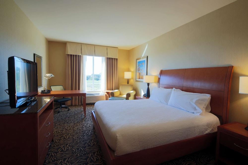 Hilton Garden Inn Cedar Falls photo 58