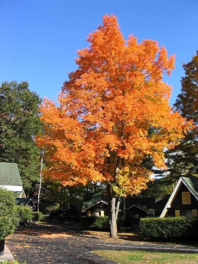 Amber Lantern Lake George Motel and Cottage Rentals photo 2