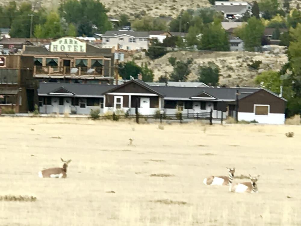 Park Hotel Yellowstone photo 58