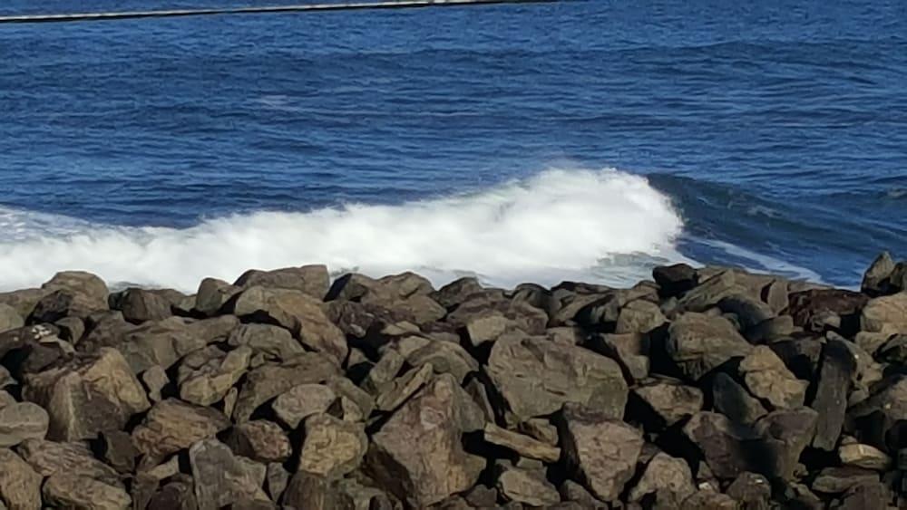Islander Westport photo 55
