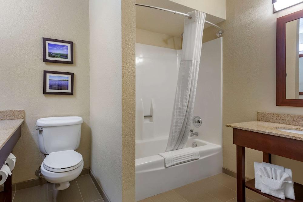 Comfort Inn & Suites Rochelle - DeKalb photo 63