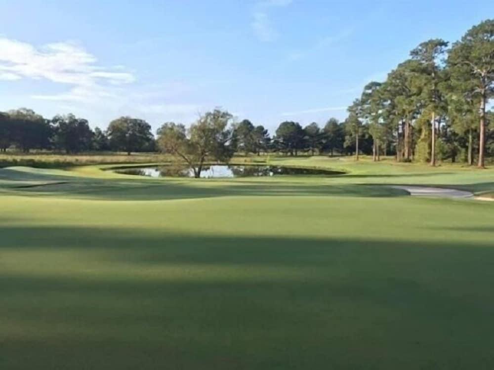 Blueberry Plantation Golf Resort photo 9