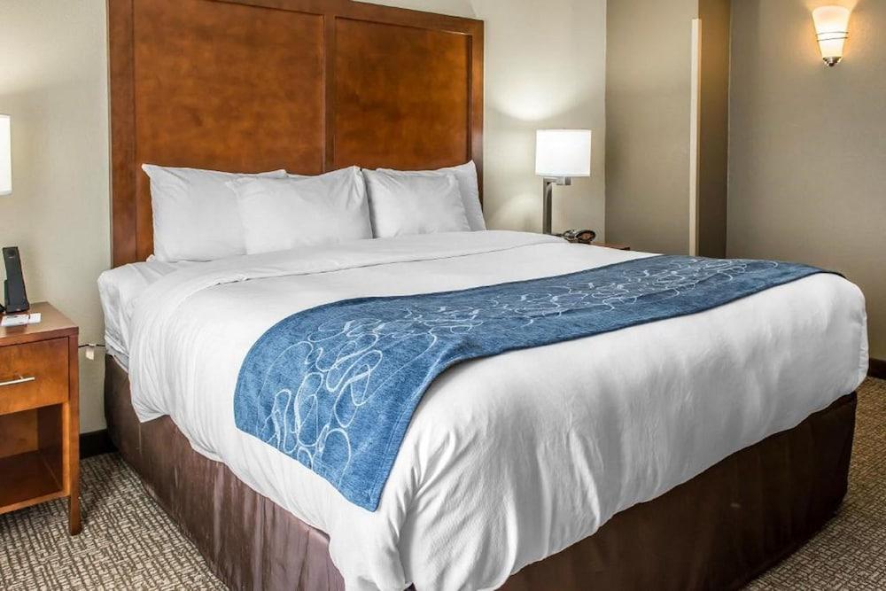 Comfort Suites Near Potomac Mills photo 7