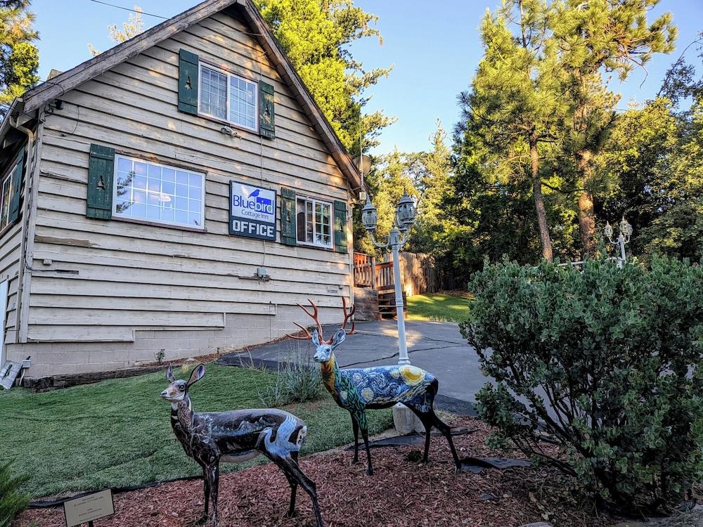 Bluebird Cottage Inn — hotel in Idyllwild