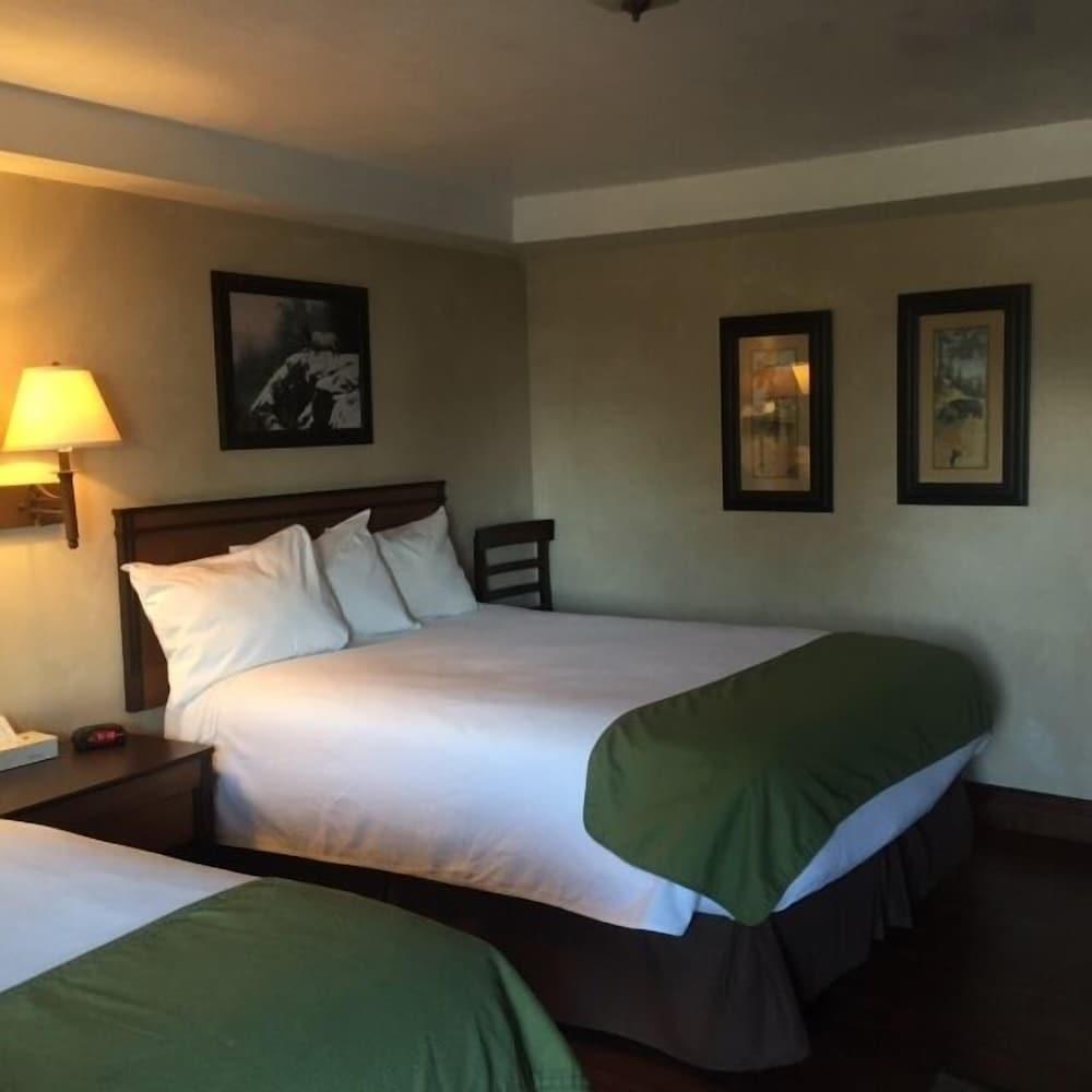 BackCountry Inn photo 7