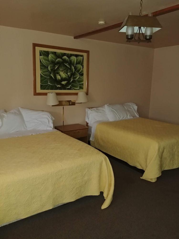 Cactus Inn photo 3
