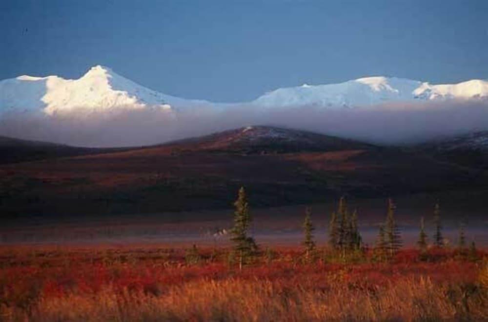Earthsong Lodge photo 54