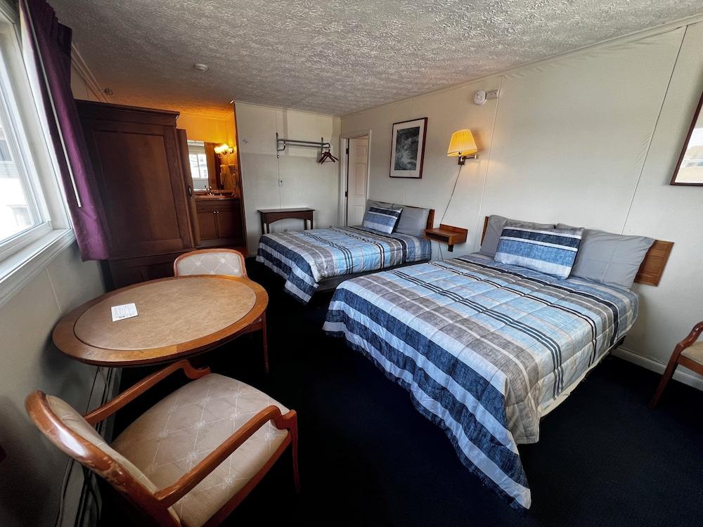 Green Dolphin Motel photo 21
