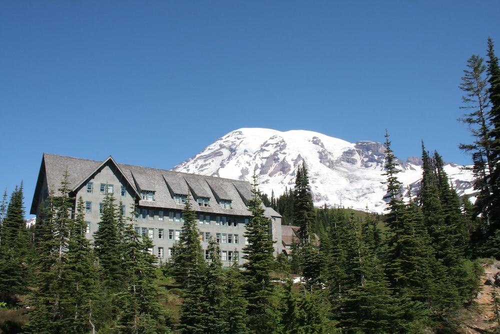 Paradise Inn — hotel in Ashford
